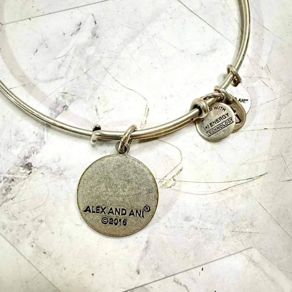 Alex And Ani Charm Bracelets Silver Tone Compass G Initial Bamboo Link Lot of 3